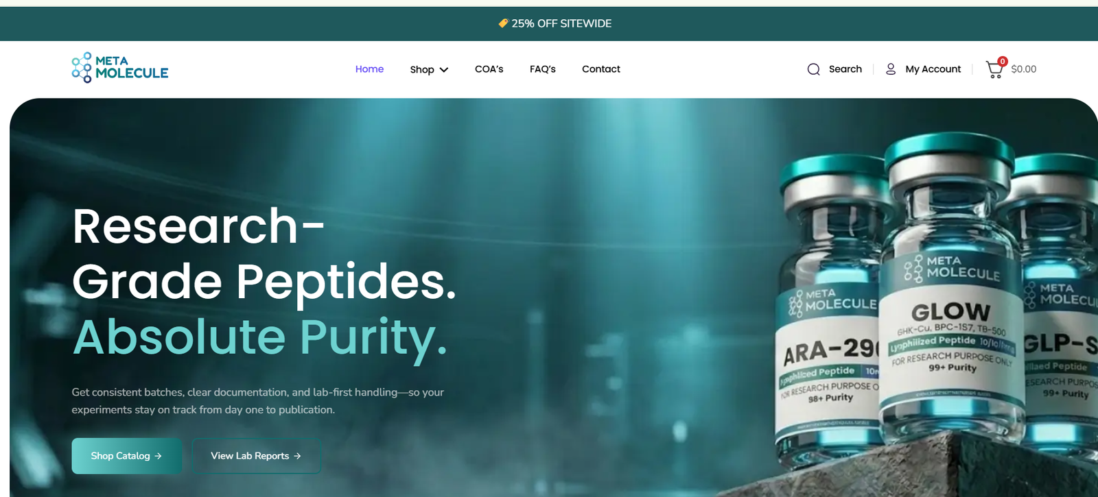 Meta Molecule website screenshot